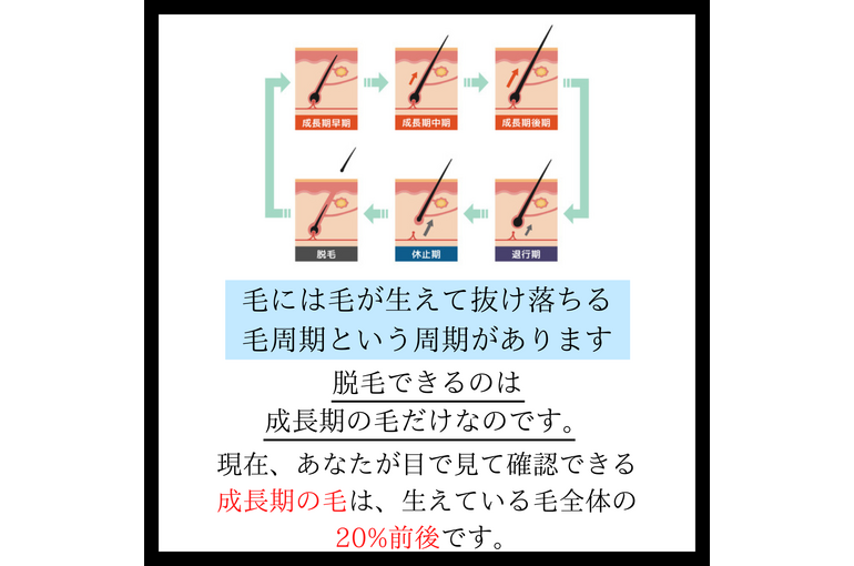 B55BC9A0-9D80-4DE9-A3F0-AF38C368145B